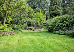 Optimiser l'expérience du jardin à Dommartemont